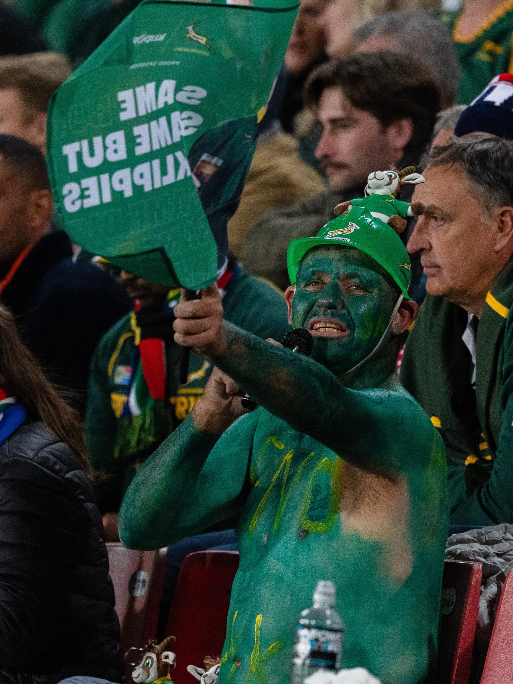 Supporter painted green and gold holding a sign in the crowd